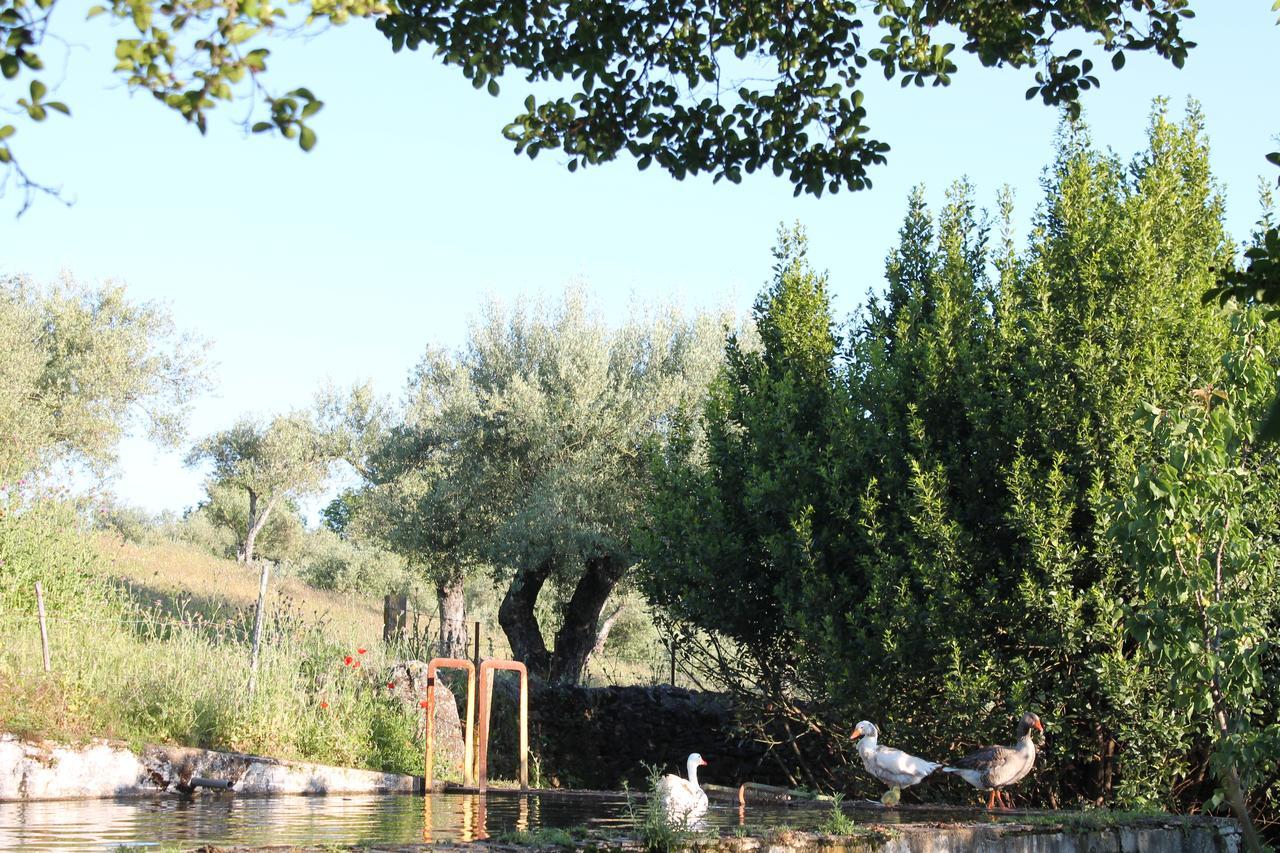 Finca La Carnicera Constantina Ngoại thất bức ảnh