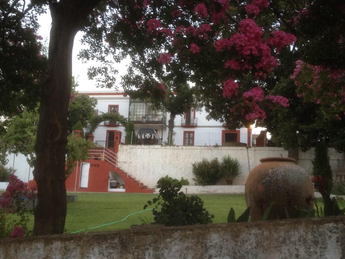 Finca La Carnicera Constantina Ngoại thất bức ảnh
