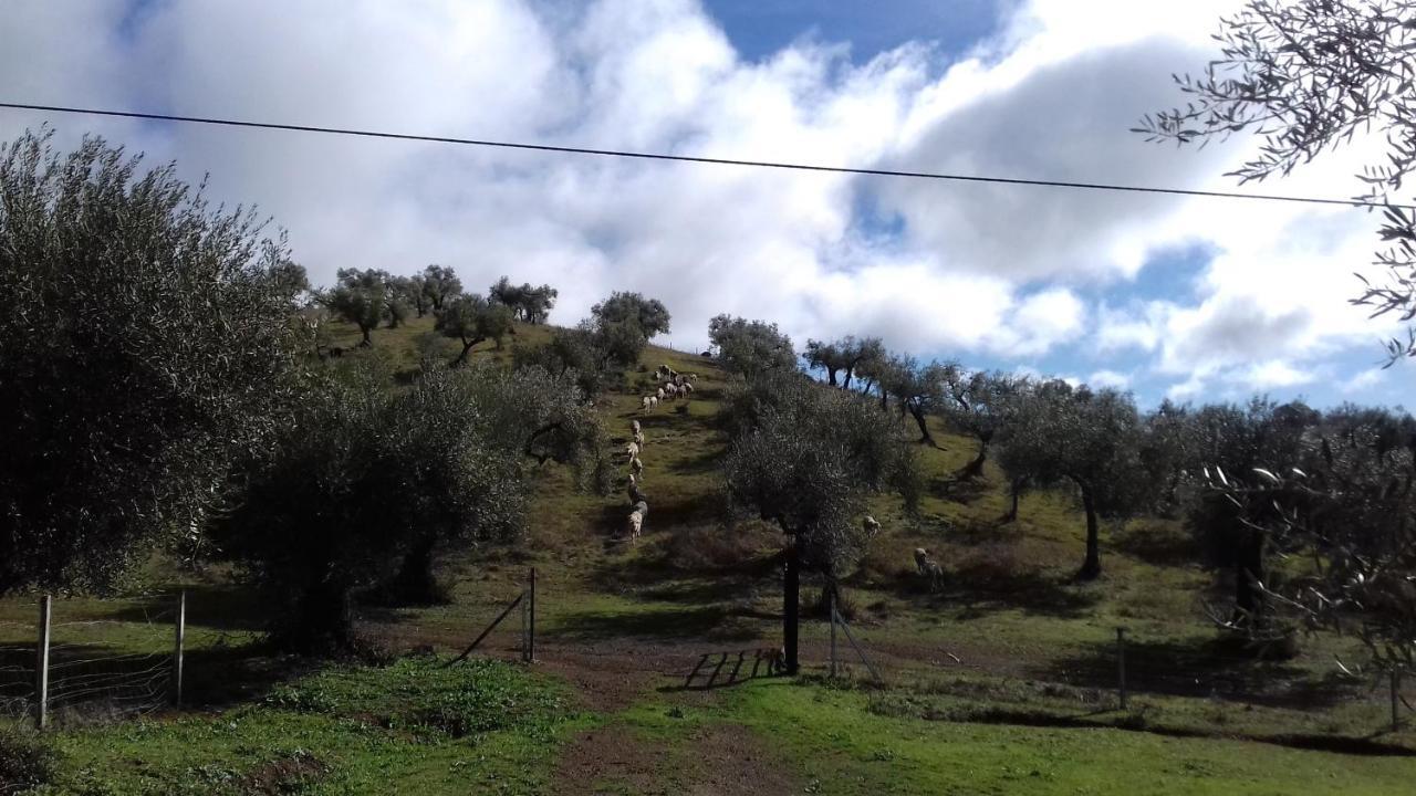 Finca La Carnicera Constantina Ngoại thất bức ảnh