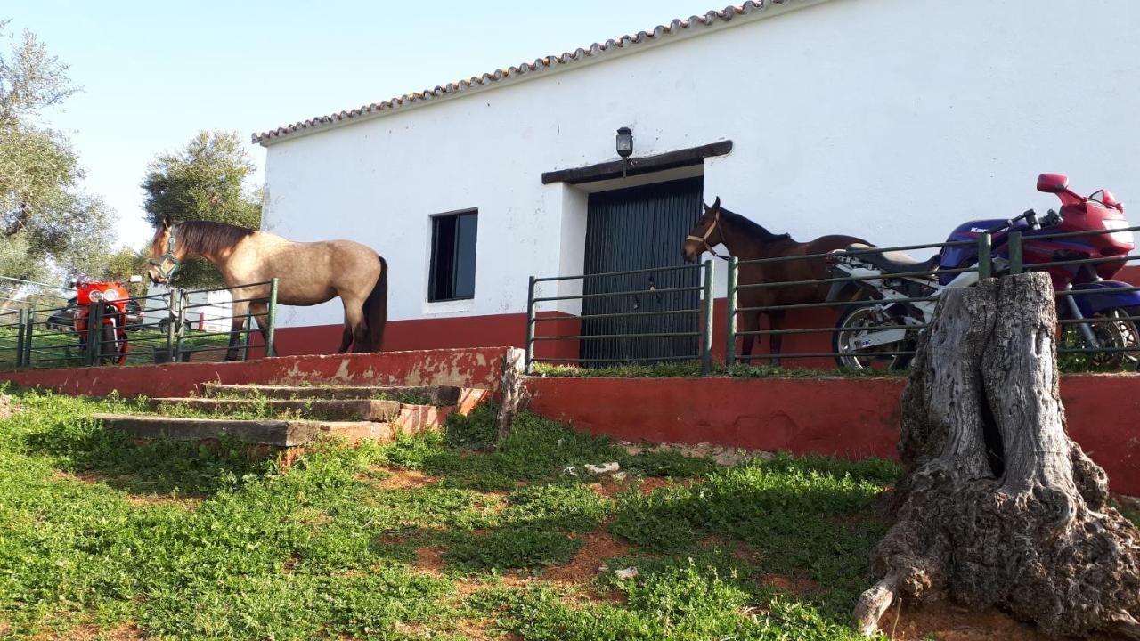 Finca La Carnicera Constantina Ngoại thất bức ảnh